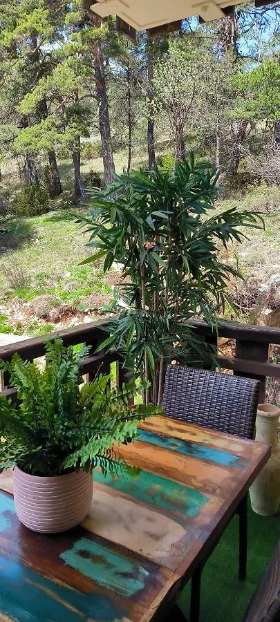Appartement Nid Douillet à Greolieres France